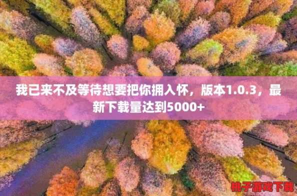我已来不及等待想要把你拥入怀，版本1.0.3，最新下载量达到5000+