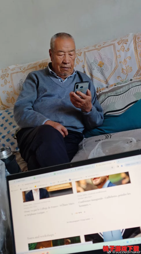 Chinese中年玩老头：网友热评9.5分，揭示背后的幽默与深意