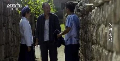 姑父有力挺送小芳的演员表网友热评：这部剧让人感受到亲情与爱情交织的温暖，值得一看！