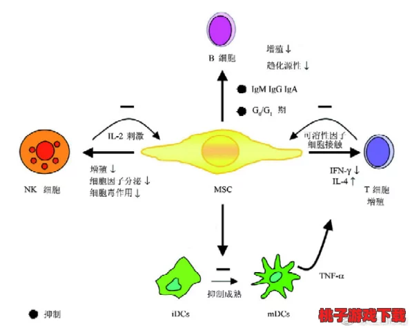 细胞救援战术：高效组队策略与角色协同全指南