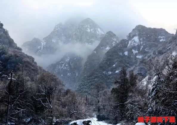 河南女人毛茸茸：她们的独特魅力与时尚风潮引发热议，成为网络新宠