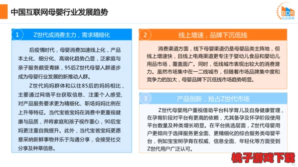 中国x站安装：专业用户分享，深入解析安装流程与注意事项，助你顺利搭建项目环境