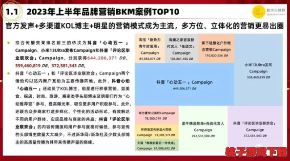 2023b站推广大全mmm：用户反馈解析与实用技巧分享，为您的推广之路提供强大支持与灵感