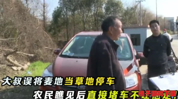 杨大壮和田桂花的公交车：一段温暖人心的爱情故事与生活哲学