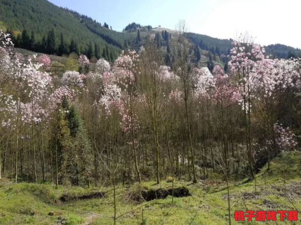 探索花语秘境，正版手游《花语卷》官方下载指南与安装链接尊享版