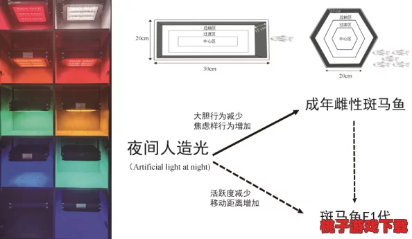 归龙浪潮中烛命蜕变奥秘：胤痕关键节点下的质变效应深度剖析与影响解读