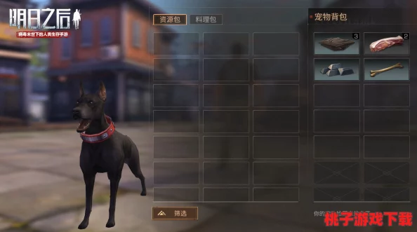 废土生存指南：从零开始培育忠诚宠物犬，全面解锁宠物狗获取与养护策略