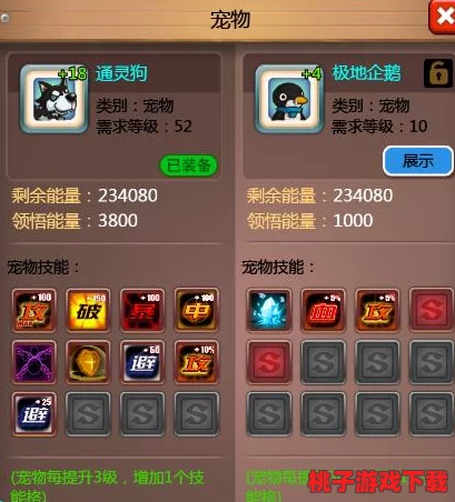 乱斗堂3新手指南：精选外套搭配策略与宠物携带优化建议