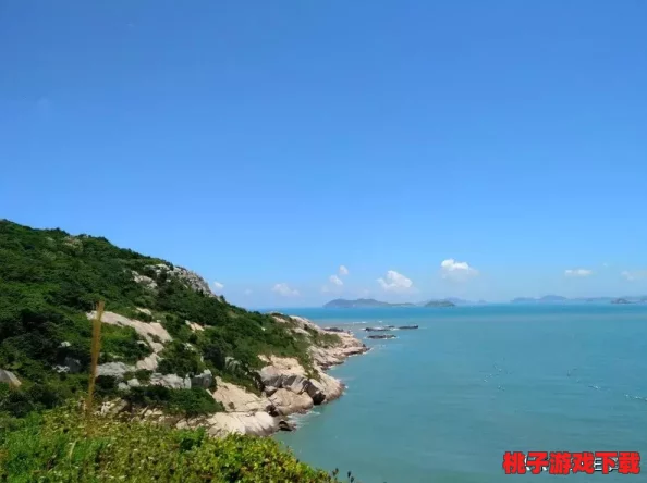 灵魂岛生态探索：全面指南教你高效移植珍稀植物，守护岛屿绿意盎然