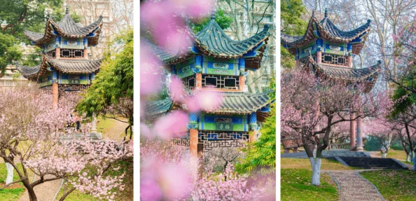 七骑士：探索月光岛82秘境，樱花港绝美风景下的策略通关指南视频解析