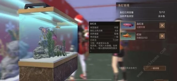 探秘《明日之后》中观赏鱼的生存奥秘：影响寿命的关键因素与延长技巧全解析