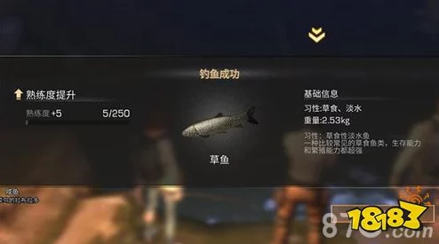 探秘《明日之后》中观赏鱼的生存奥秘：影响寿命的关键因素与延长技巧全解析