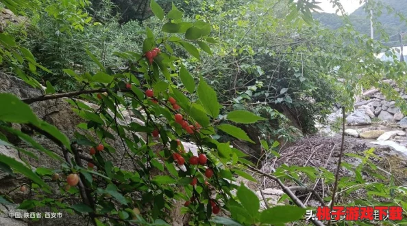 端午奇遇记：不思议迷宫独家活动盛宴，解锁传统新玩法一览无遗！