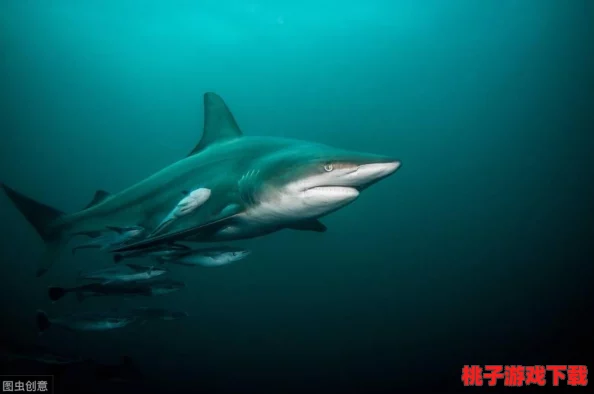 全面解锁航海探险荣耀：详尽指南带你遍历《航海日记》所有成就称号获取之道