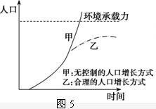 全面解析代号生机：背包容量倍增策略与实用扩充技巧指南