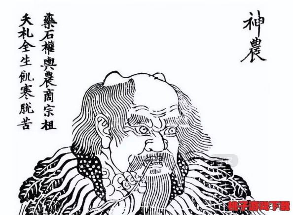 全民征战怪兽纪元：君主套装专属属性全面剖析与实战效能评估