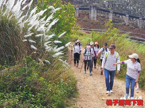 黎明之路：探索顶尖武器威力，精选高效装备搭配指南