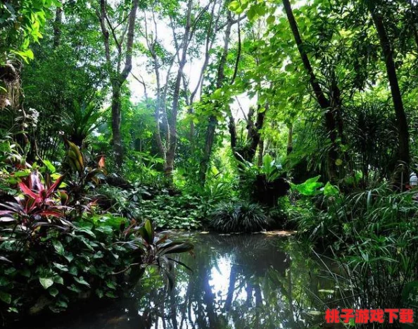 东南亚仙林棕林：感受热带雨林的神秘魅力与生态之美