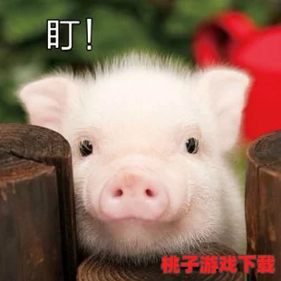 探索归龙潮烛全方位培养秘诀：从选种到绽放的精致养护流程分享，助力独特魅力展现无遗