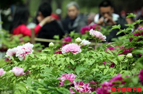 《王城英雄》盛世归来！今日震撼发布全新版本，开启传奇冒险新纪元