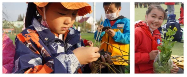星露谷物语初入者指南：优先解锁哪个区域，让农场生活更顺畅起步？
