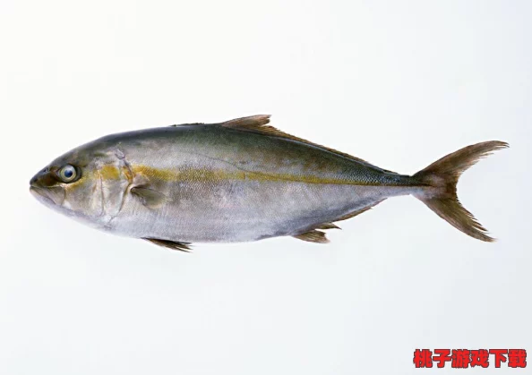 掌握美食小当家进度恢复技巧：一键重启你的烹饪旅程，轻松接续精彩瞬间