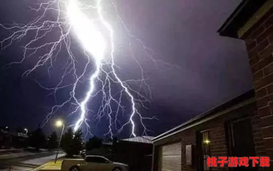 雷电将军释怀的网站！理解她内心的挣扎与成长之路，感受背后的故事与情感