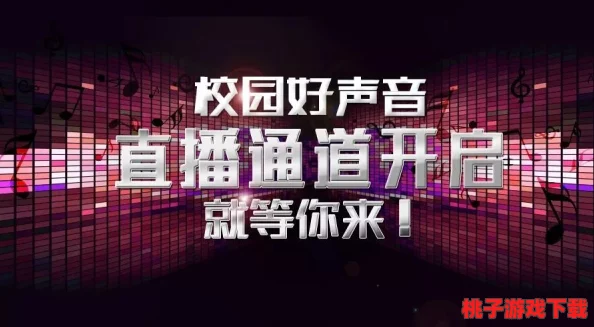 在b站看视频的好处，热门UP主带你领略不一样的视听盛宴