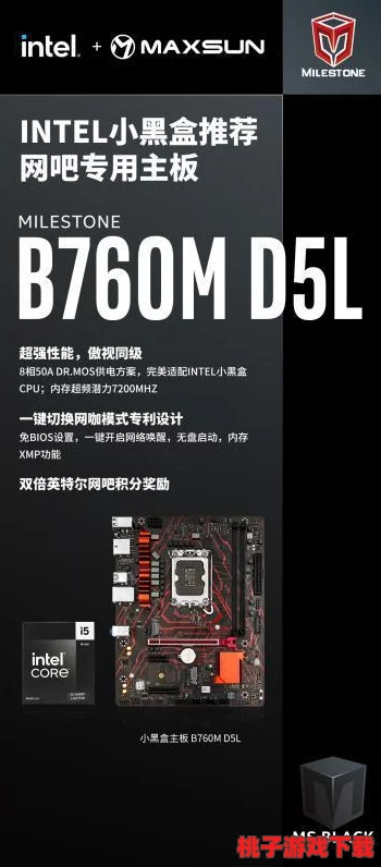 b 站推广网站 2024：全面评测其效果与用户反馈，助力内容创作者提升影响力