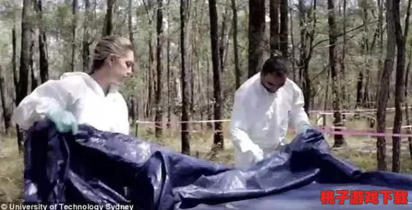 人与猪的DNA：网友热议人类与猪的基因相似性，分析对医学研究的影响与未来可能的发展方向