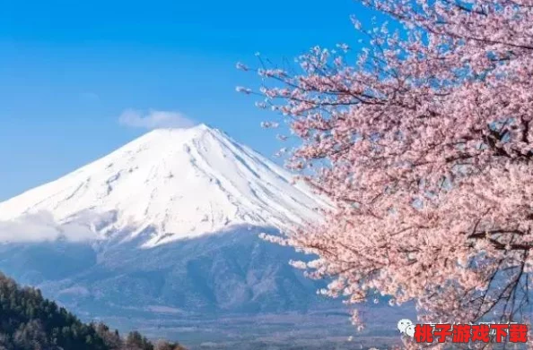 梦奇直播XXX日本：网友热议日本文化之旅，纷纷点赞美食与风景