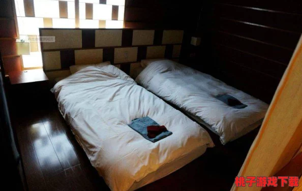 与部长外出住酒店，网友评价：奢华服务背后竟隐藏这些惊人故事，让人感叹不已！