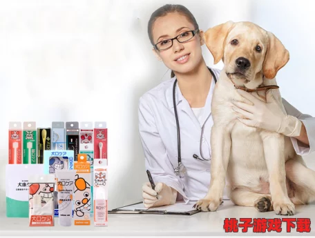 日本mindup狗与普通版对比：用户评价如何选择最适合的宠物训练工具？
