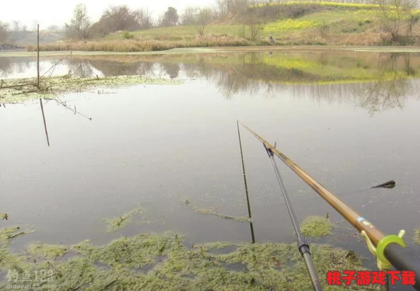 探索浮石秘境：揭秘独特钓鱼地图与趣味玩法，解锁隐藏水域垂钓之旅