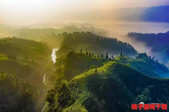 大地资源网6：网友评价纷纷，用户体验提升至新高度，值得试玩的优秀平台