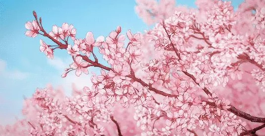 樱花动漫正版imomoe官方版2023：用户纷纷表示画质极佳，体验相当出色！