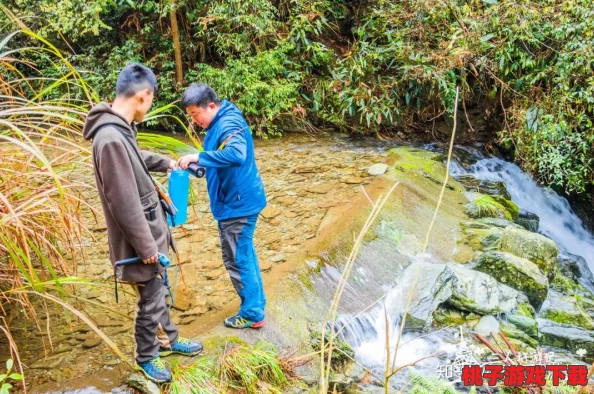 狩猎时光中的清泉秘技：全面指南教你高效采集纯净山泉水