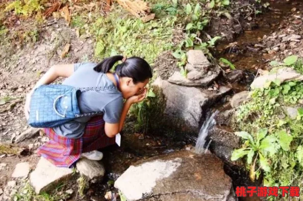 狩猎时光中的清泉秘技：全面指南教你高效采集纯净山泉水
