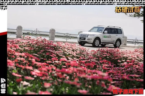探索传奇霸主：揭秘全爆怪高频出没的神秘地图秘境，解锁顶级装备掉落宝地