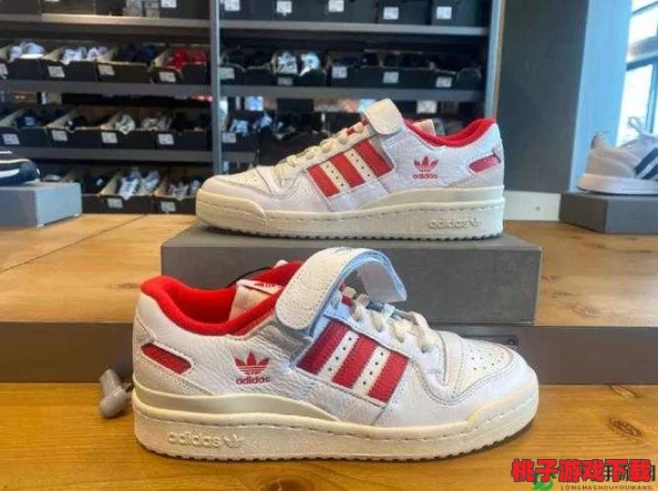 三叶草gy6793：用户点评与见解汇聚，展现独特魅力与时尚风格的完美结合