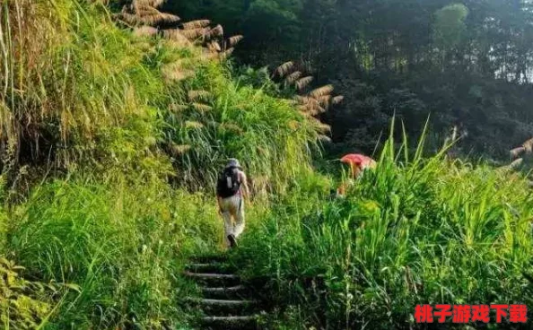 探秘桃源秘境，速览赶山奇景：揭秘隐藏于深处的村落与登山捷径指南