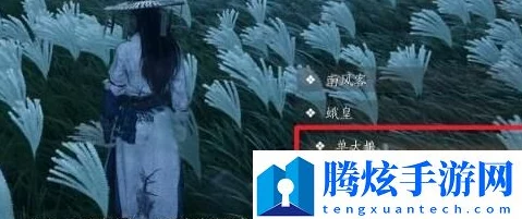 燕云十六声：解锁奇遇任务'追光者'，全面攻略与完成技巧深度探索