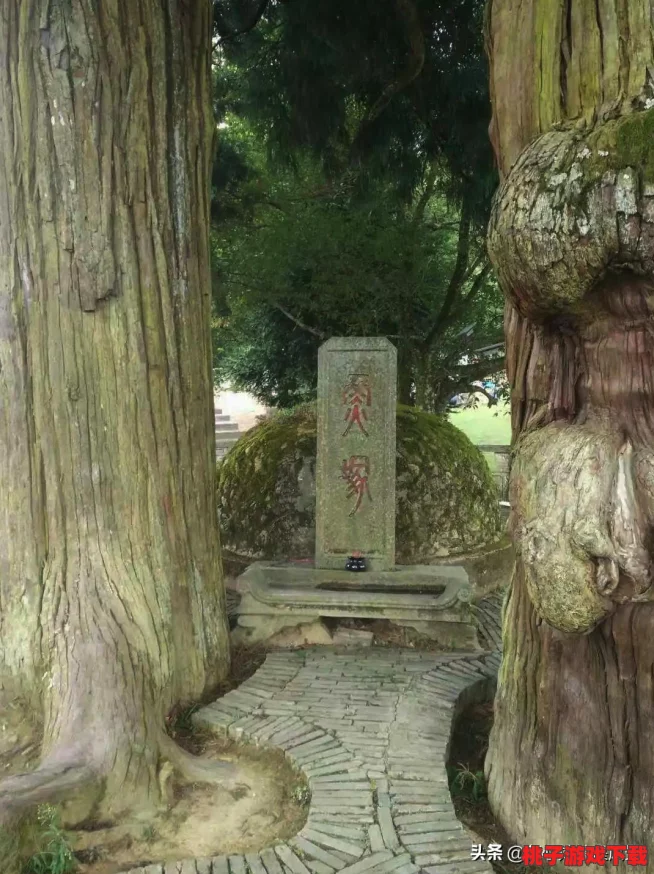 探索黑神话悟空世界：揭秘珍稀金色鲤鱼的独特获取途径与位置线索