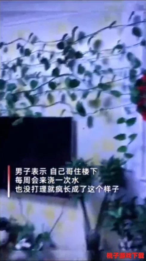 脑洞大开！强人独创爬楼秘籍：创意满满的高效回家方案，助男士轻松登顶温馨家园