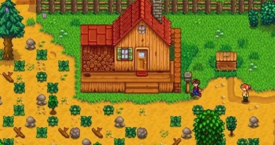 星露谷物语：Nintendo Switch与PC版深度对比，哪个平台更适合你的农场生活？