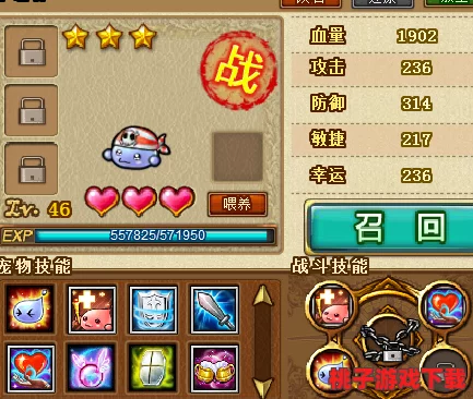 弹弹堂45级玩家必看：优选宠物大比拼，哪只才是你的最佳战斗伙伴？