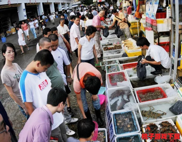 辐射4：探索最佳整合包，提升游戏体验的完美选择指南
