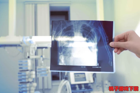 辐射4深度评测：探索游戏中哪个部件设计最具视觉魅力与细节之美