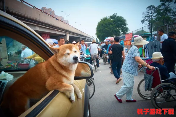 狩猎时刻：全面盘点游戏中多样化的武器种类与特色解析