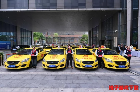 出租车司机必备生活配置指南：提升驾乘体验与效率的推荐装备清单